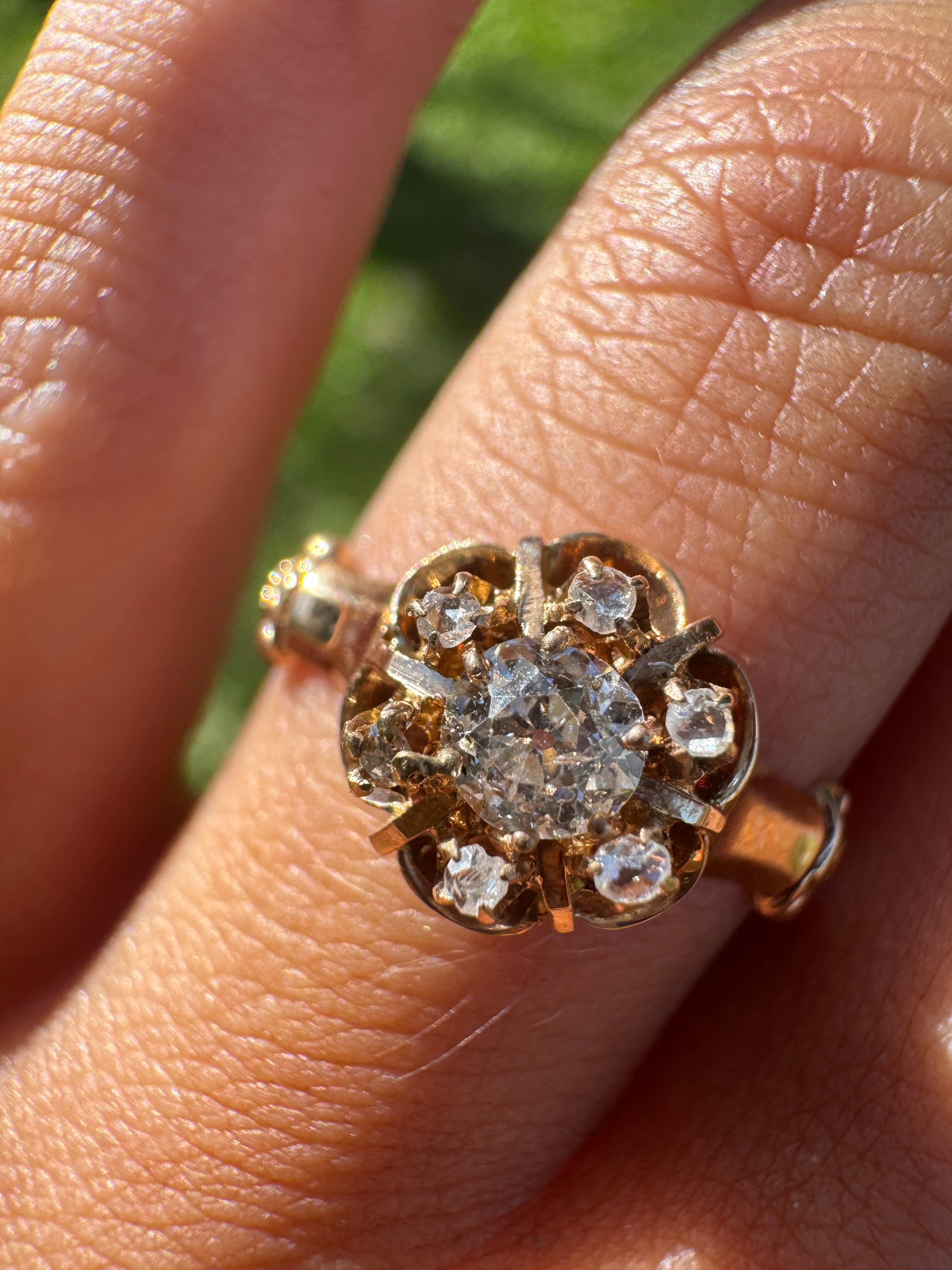 1910 Buttercup